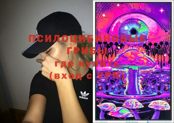 марки lsd Абаза